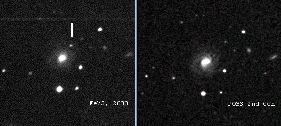 Supernova discovery in UGC 8510
