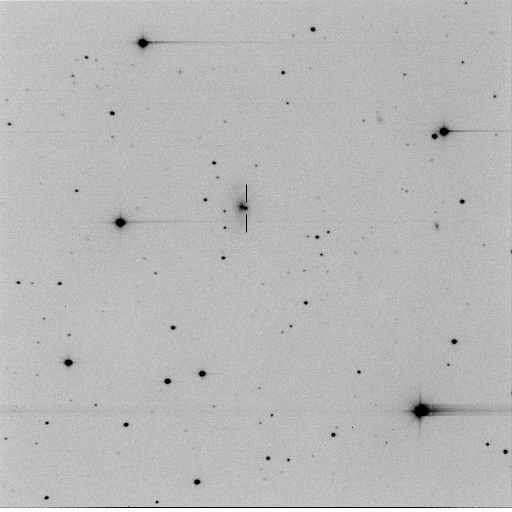 Discovery image of the supernova in UGC 8164
